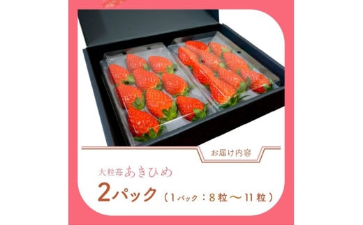 【京丹後産いちご章姫】農園直送便！新鮮大粒いちご 2パック ギフト箱入り／北畿水産