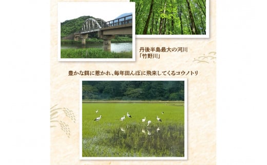 令和7年産 特別栽培米コシヒカリ 丹後椿（京丹後森本産） 5kg