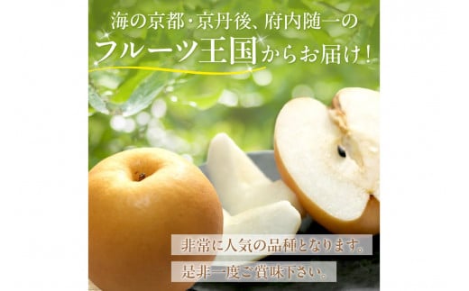 【先行予約／数量限定150】京丹後産 新興梨 5kg（8～14玉入り）（2026年10月中旬～発送）