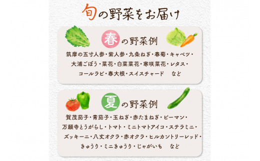 【年4回定期便】春夏秋冬自然栽培野菜セット(年4回)4～5人用