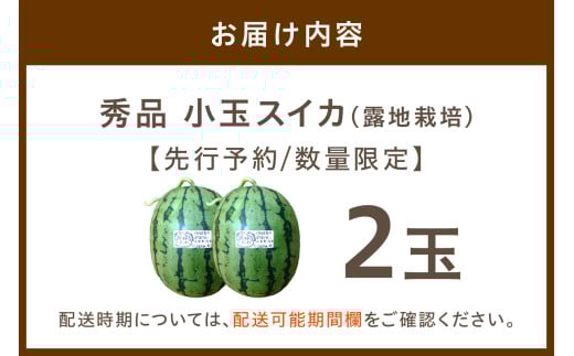 【先行予約／数量限定200】にしまるスイカ 秀品 2玉入り（露地栽培）（2026年7月中旬から発送）