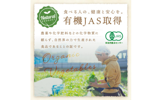 【先行予約：11月配送】＜てんとうむしばたけ＞冬のオーガニック野菜セット　有機野菜6～7種前後