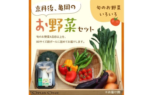 有機野菜・京野菜の『京都やおよし』のお野菜＆平飼玉子10個の詰め合わせ