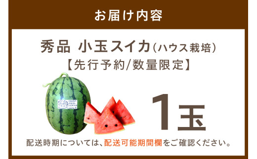 【先行予約／数量限定100】にしまるスイカ 秀品 1玉入り（ハウス栽培）（2026年6月中旬から発送）