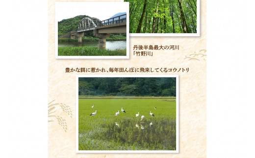 莉、蜥7蟷エ逕」 迚ケ蛻・譬ス蝓ケ邀ウ繧ウ繧キ繝偵き繝ェ 荳ケ蠕梧、ソシ井コャ荳ケ蠕梧」ョ譛ャ逕」シ 2kg