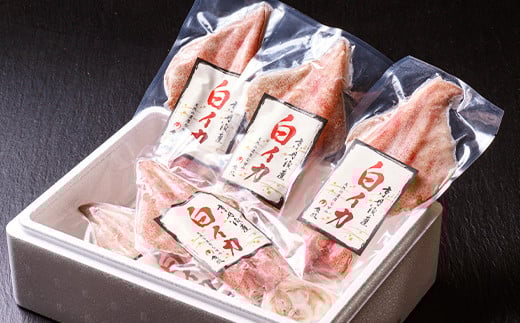 【先行予約】BBQに最適！ 白イカ（ケンサキイカ） 調理済み 正味1kg入り（4～8匹） ※小分け真空包装 海鮮 魚介 烏賊 調理済み バーベキュー 壺焼き 小分け 冷凍 ふるさと納税 イカ ふるさと納税 海鮮BBQ
