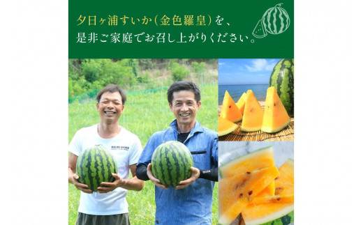 ãå
è¡äºçŽïŒæ°ééå®50ã倿¥ã¶æµŠãããïŒéè²çŸ
çïŒ 1çïŒ2026幎7æäžæ¬ïœçºéïŒæç© ãã ãã® ã¹ã€ã« 西ç ãµãããšçŽçš ã¹ã€ã« ãµãããšçŽçš å
è¡äºçŽ ãã«ãŒã ãµããŒã€ çã äº¬éœ äž¹åŸ é«çŽ