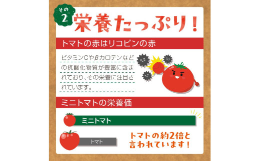 【先行予約】訳あり 宝石のような輝き！カラフルミニトマト 約1.5kg（秋冬）（2026年10月上旬～発送）