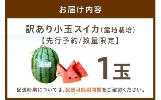 【先行予約／数量限定200】にしまるスイカ 訳あり 1玉入り（露地栽培）（2026年7月中旬から発送）　FR00014