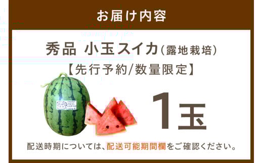 【先行予約／数量限定200】にしまるスイカ 秀品 1玉入り（露地栽培）（2026年7月中旬から発送）