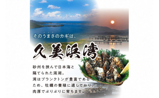 京都・久美浜産　殻付き牡蠣　2kg（20個前後）【加熱用】牡蠣ナイフ付　人気 国産 正規品 大粒 肉厚 養殖牡蠣 牡蠣 牡蛎 かき 海鮮 貝 海のミルク 殻付き