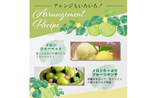 【先行予約／数量限定150】砂姫メロン1玉！大玉2L以上！女性に人気！（2026年6月下旬～発送）