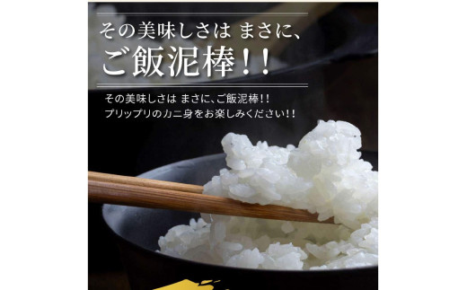 京都ケジャン　ズワイガニ1肩×3パック