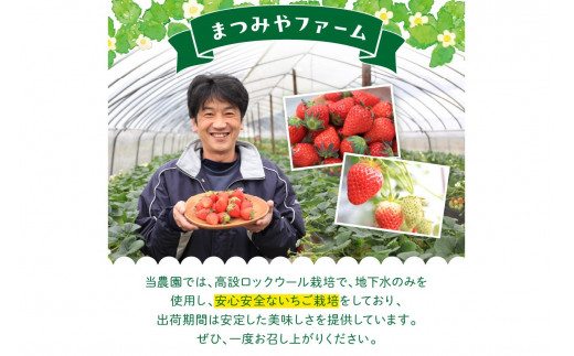 【先行予約／数量限定200】京都・まつみやファームのいちご（あきひめイチゴ）4パック（2026年3月中旬～発送）