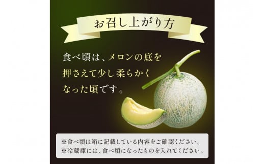 【先行予約／数量限定450】京丹後産 砂丘メロン 大玉2L以上 2玉（2026年7月下旬～発送）