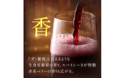 京丹後産サペラヴィスパークリング 丹波ワイン　750ml