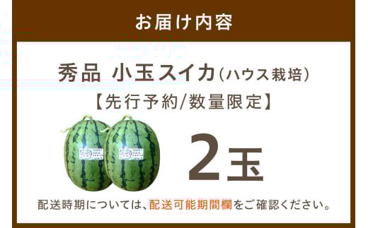 ãå
è¡äºçŽïŒæ°ééå®100ãã«ããŸãã¹ã€ã« ç§å 2çå
¥ãïŒããŠã¹æ œå¹ïŒïŒ2026幎6æäžæ¬ããçºéïŒ