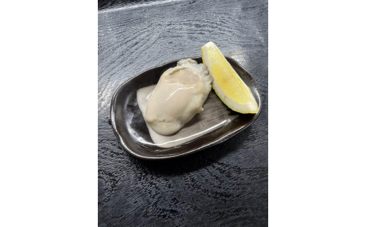 【先行予約】京都・京丹後産　鮮度抜群！濃厚肉厚岩牡蠣（生食用）8個入り（個別包装・冷凍）