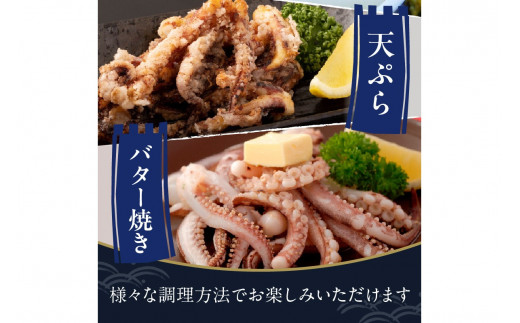 【先行予約】京丹後産『海の京都』の逸品！！　活白イカ姿造り（クリスタル白いか）大サイズ 1杯（300g前後）（2026年6月上旬～発送）