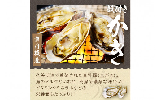 【先行予約】大満足！京丹後・海鮮BBQ　Dセット　贅沢アワビ付　6種22品（4～5人前）（2026年4月中旬～発送）