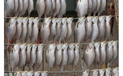 【店主一押し！絶品干物！高リピート！】エテカレイ一夜干し　中サイズ（朝食サイズ）12枚