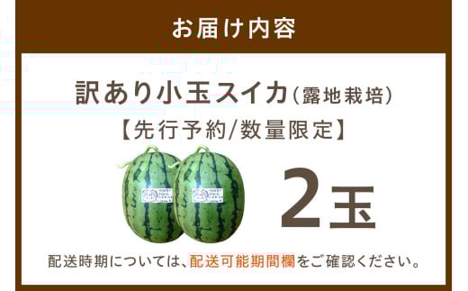 【先行予約／数量限定200】にしまるスイカ 訳あり 2玉入り（露地栽培）（2026年7月中旬から発送）　FR00015
