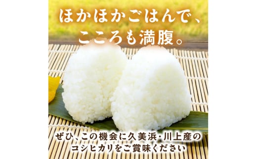 2025年産 京都・久美浜産 特別栽培米コシヒカリ 1.5kg