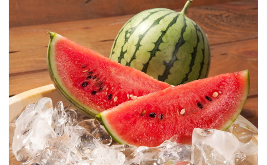 【先行予約】朝どれ小玉スイカ／みんな大好き！甘～ぃ！シャリ美味！！京丹後産 小玉スイカ！！2玉（ひとりじめ、姫甘泉、ひめまくら、砂丘たまごから1種類）（2026年7月上旬～発送）スイカ2玉