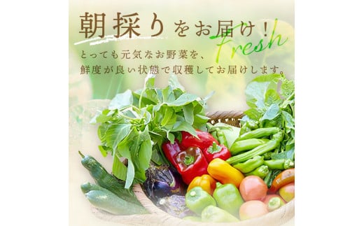 【先行予約：8月配送】＜てんとうむしばたけ＞夏のオーガニック野菜セット　有機野菜6～7種前後