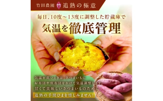 さつまいもオブザイヤー紅はるか部門全国1位 京都・ 丹後産　さつまいも 紅はるか　土付き（1本120～450g程度）5kg