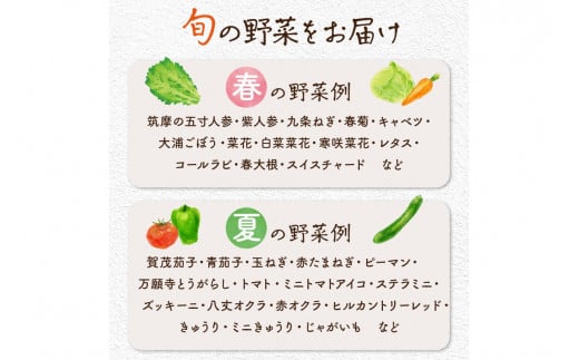 【数量限定】自然栽培野菜セット（団らん）
