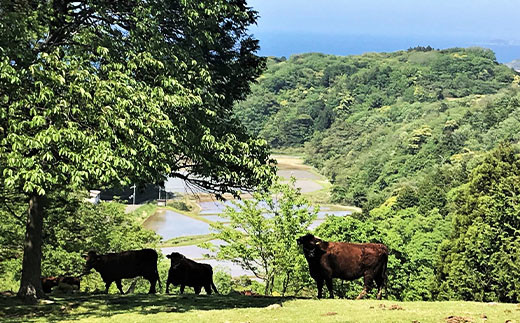 莠ャ縺溘s縺上m蜥檎央縺ョ縺吶″繧縺阪サ縺励c縺カ縺励c縺カ 500スシ2ス3莠コ蜑搾シ