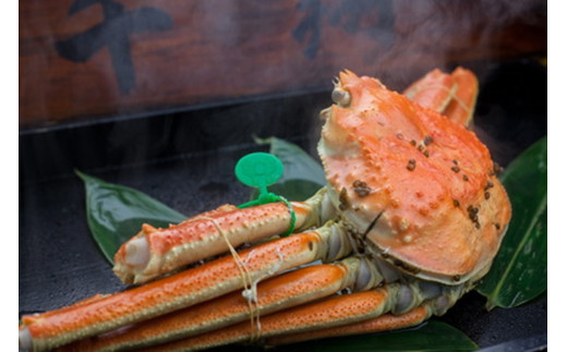 京丹後市産 茹で間人蟹 【厳選】 中大サイズ　taizakani800　2匹　間人がに 間人ガニ 間人蟹 たいざがに たいざガニ