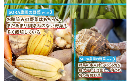 SORA農園有機野菜セット年2回（夏季・冬季）お届け 12種類前後 オーガニック野菜 詰め合わせ 栽培期間中農薬不使用 ふるさと納税 オーガニック ふるさと納税 有機野菜
