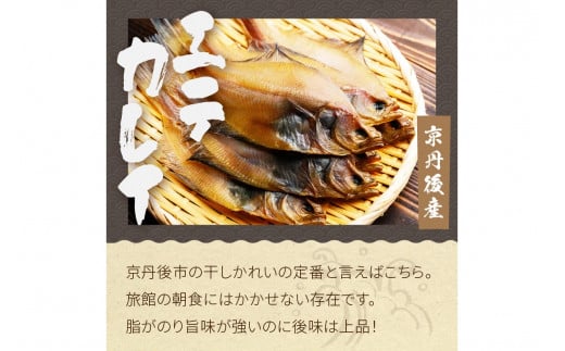 【先行予約】大満足！京丹後・海鮮BBQ　Fセット　豪華盛り合わせ　生ズワイガニ　アワビ付　7種23品（4～5人前）（2026年4月中旬～発送）