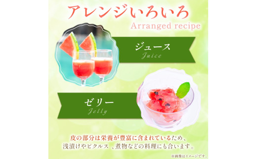 【先行予約／数量限定100】砂丘のたまご（小玉スイカ） 1玉（2026年6月中旬～発送）