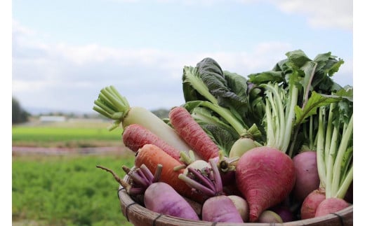 ã幎4åå®æäŸ¿ãïŒãŠããšãããã°ããïŒãªãŒã¬ããã¯éèã»ãããææ©éè6ïœ7çš®(2人çš)