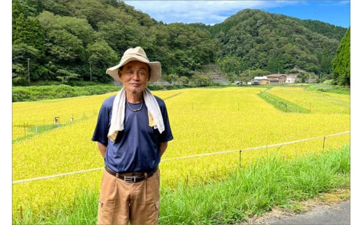 什å7å¹Žç£ äº¬äž¹åŸã»ééç£ãç°æžããã¡ã®ãããããç±³ åå
è£
2åÃ6è¢å
¥