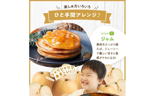 【先行予約／数量限定50】新興梨 秀品 5kg（8～16玉入り）（2026年10月上旬～発送）
