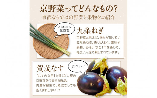 直売所直送 「京都・京丹後産 季節の野菜」お任せ詰め合わせBOX（5品） 春夏秋冬定期便4回 コシヒカリ精米 京野菜 季節 新鮮 ふるさと納税 野菜