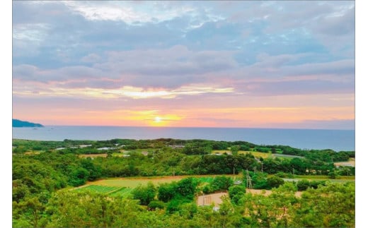 【先行予約】京丹後の梨ジュース 小瓶3本入り（2025年10月下旬～発送）