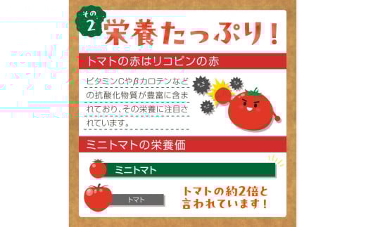 【先行予約】訳あり 宝石のような輝き！カラフルミニトマト 約1.5kg（春夏）（2026年5月下旬～発送）