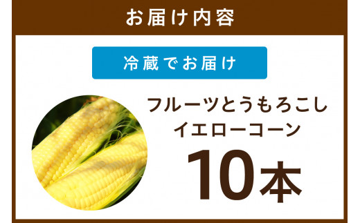 【先行予約】 生食も！高糖度！もぎたて！ フルーツトウモロコシ「イエローコーン」（2026年6月下旬～発送）