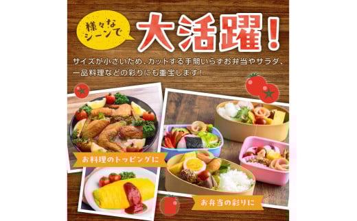 【先行予約】訳あり 宝石のような輝き！カラフルミニトマト 約1.5kg（春夏）（2026年5月下旬～発送）