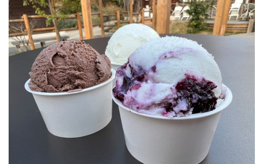 道の駅　丹後王国「食のみやこ」応援感謝券（500円券×6枚）