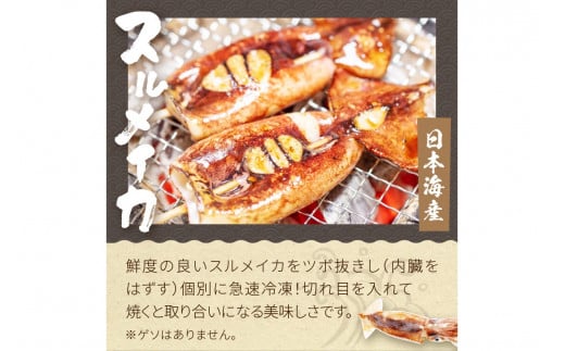 【先行予約】大満足！京丹後・海鮮BBQ　Cセット　贅沢生ズワイガニ付き　4種11品（3～4人前）（2026年4月中旬～発送）　YK00554