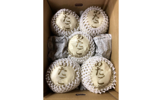 【先行予約／数量限定20】愛宕梨 秀品 5kg（5～12玉入り）（2025年11月下旬～発送）