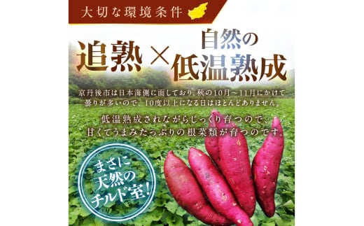 さつまいもオブザイヤー紅はるか部門全国1位 京都・ 丹後産　さつまいも 紅はるか　土付き（1本120～450g程度）10kg