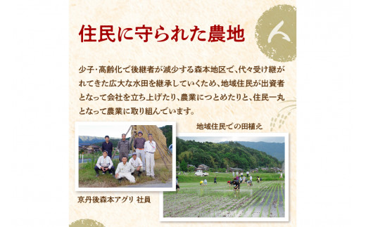 莉、蜥7蟷エ逕」 迚ケ蛻・譬ス蝓ケ邀ウ繧ウ繧キ繝偵き繝ェ 荳ケ蠕梧、ソシ井コャ荳ケ蠕梧」ョ譛ャ逕」シ 2kg
