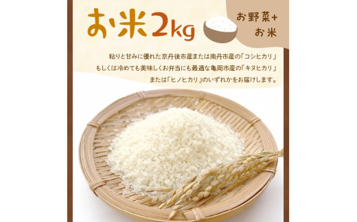 【定期便】合計12回お届け　有機野菜・京野菜の『京都やおよし』のお野菜と米2kgの詰め合わせ